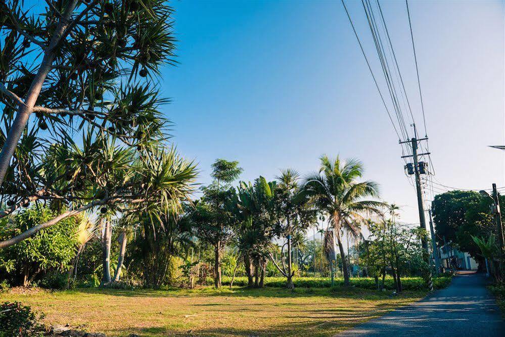 Palm Villa Guesthouse Nantou Exterior photo